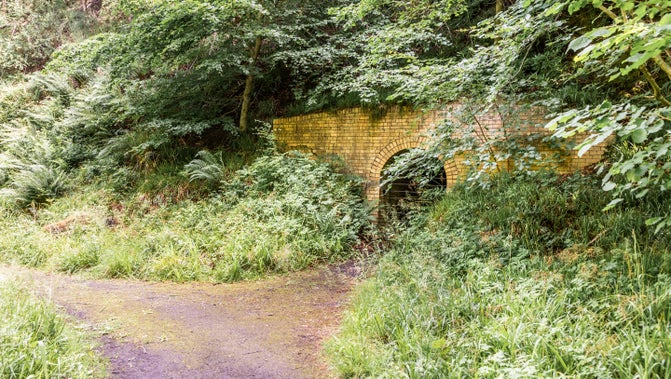 The entrance to an old drift mine at Gibside, surrounded by summer foliage.